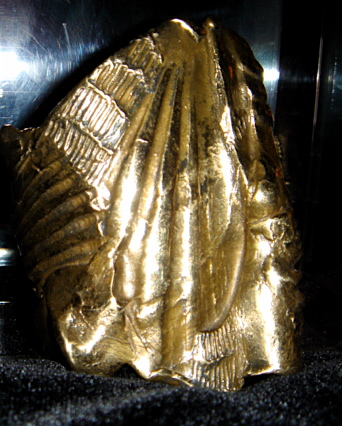 Manchette Bronze