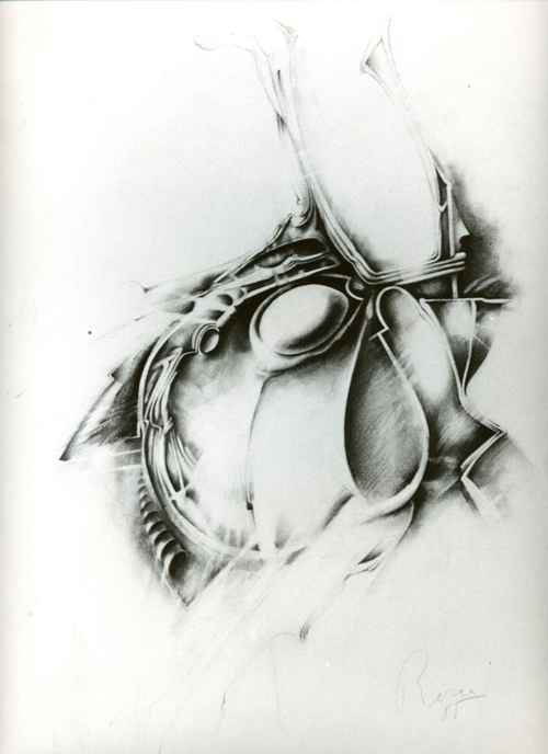 Dessin001