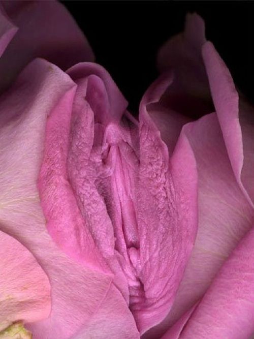 RoSA cUM ItoRIS
