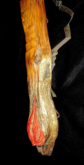 Dsc00860_2